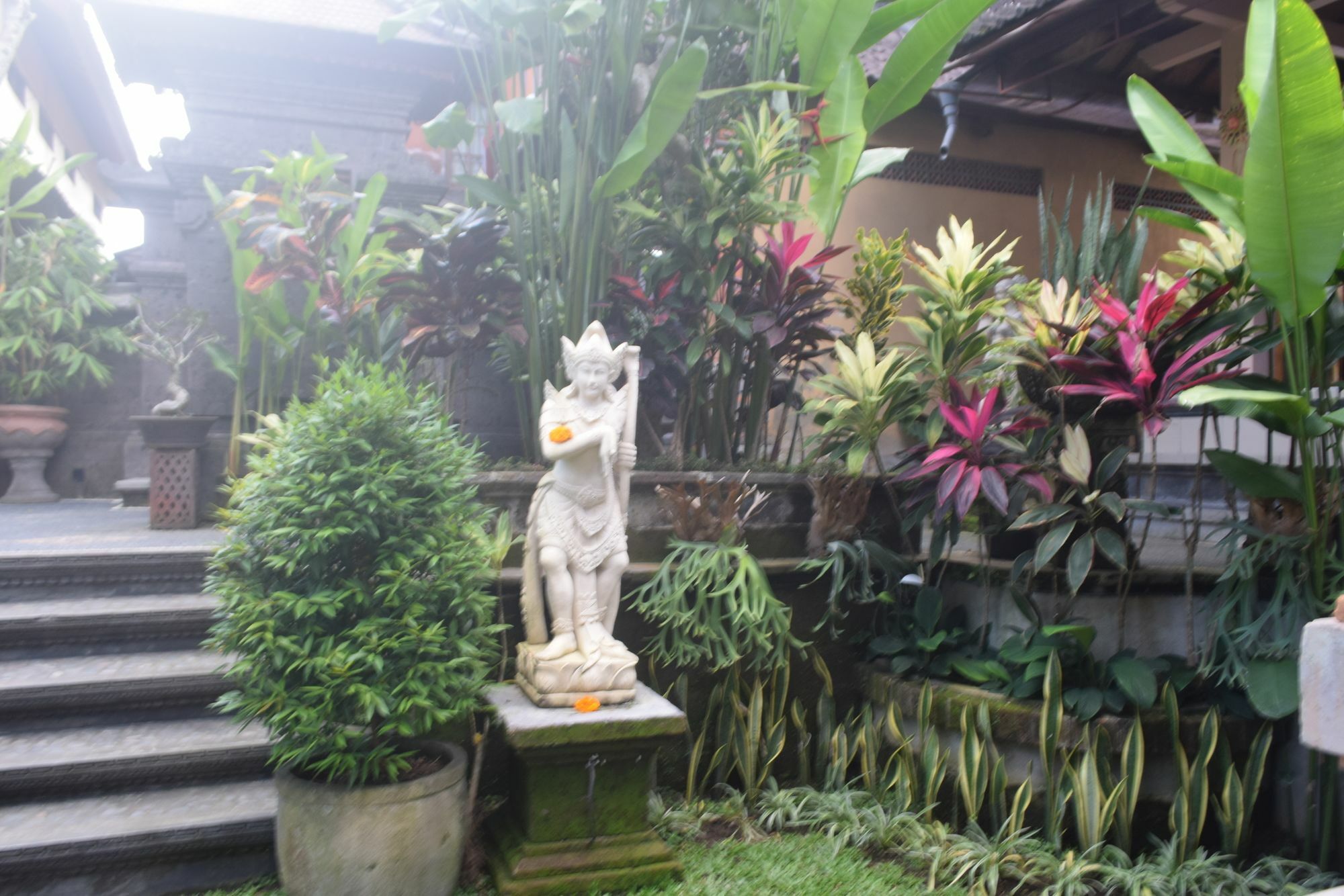 Aura Bisma Hotel Ubud Buitenkant foto